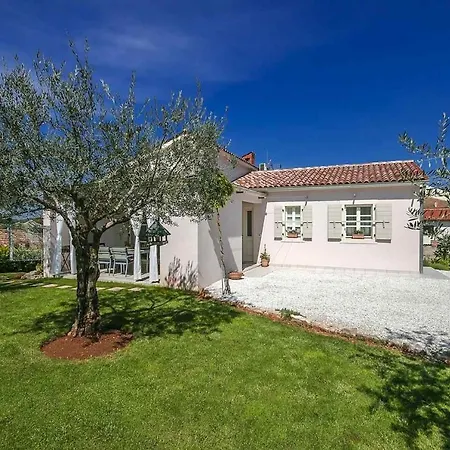 Villa Charming Villa With Swimming Pool In Visnjan *